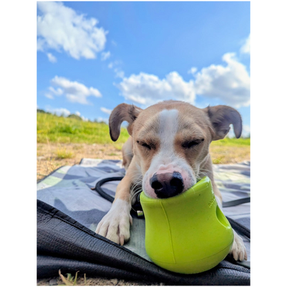 West Paw Toppl – Der clevere Snack-Becher für smarte Hunde