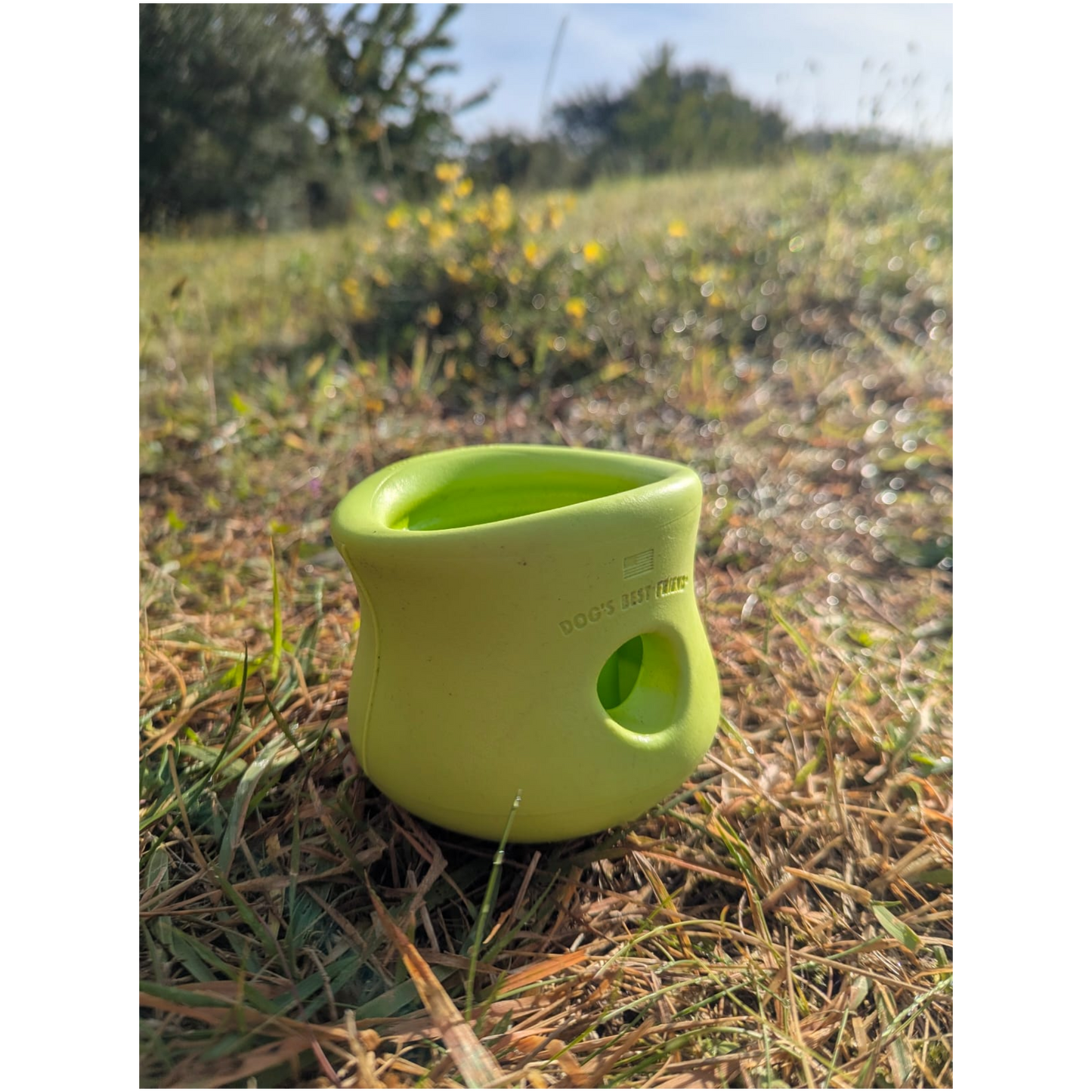 West Paw Toppl – Der clevere Snack-Becher für smarte Hunde