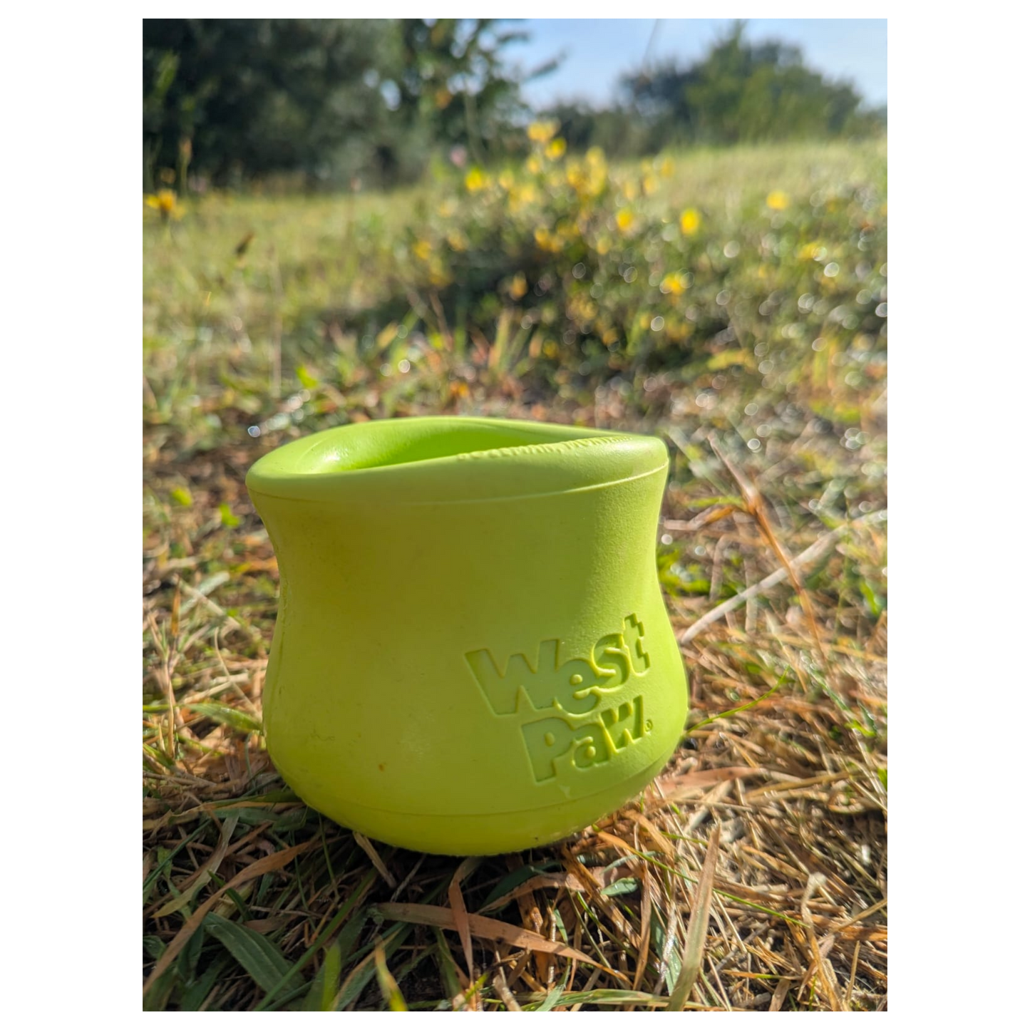 West Paw Toppl – Der clevere Snack-Becher für smarte Hunde