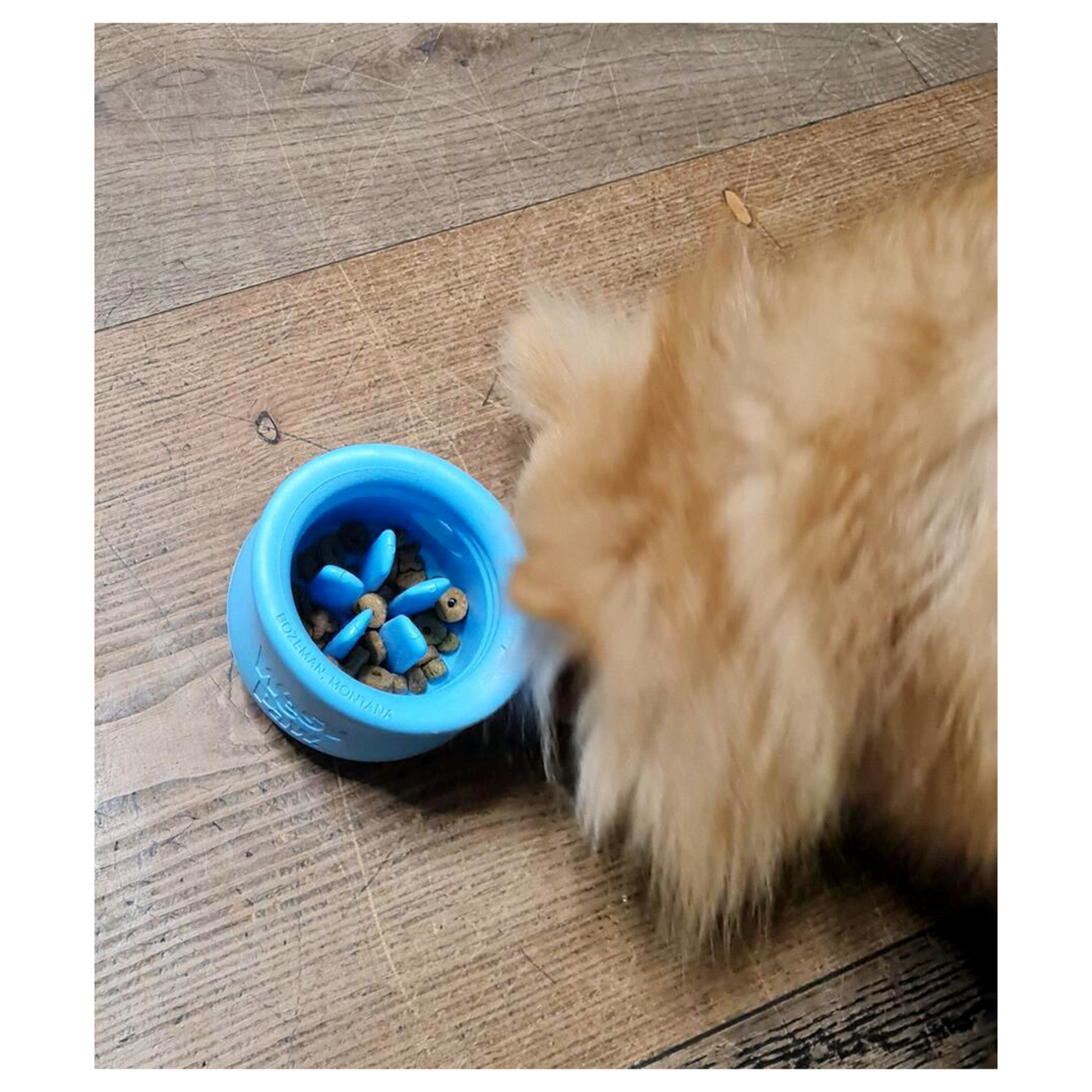 West Paw Toppl – Der clevere Snack-Becher für smarte Hunde