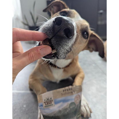 Wildes Land Dog - Softsnack Pferd