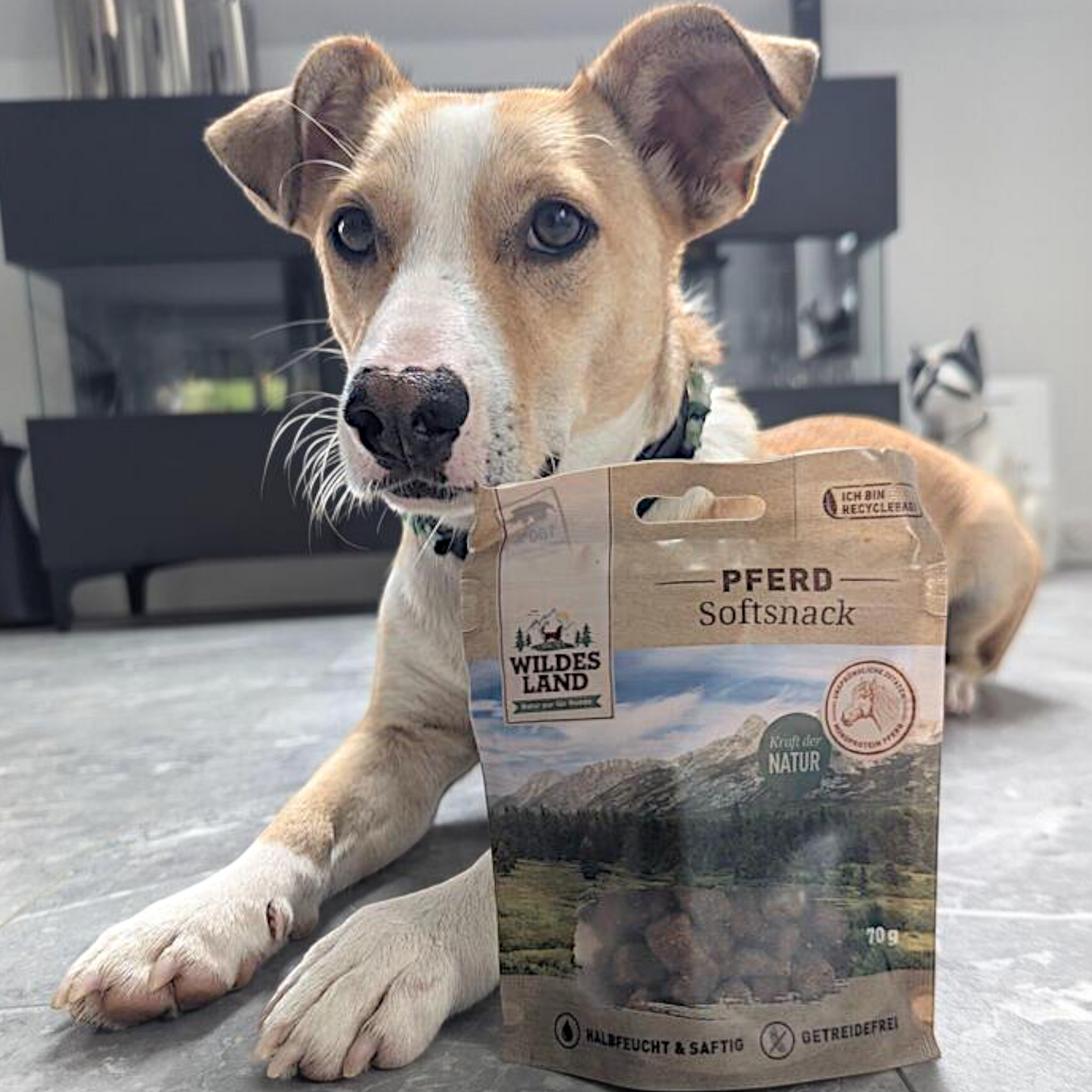 Wildes Land Dog - Softsnack Pferd