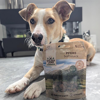 Wildes Land Dog - Softsnack Pferd