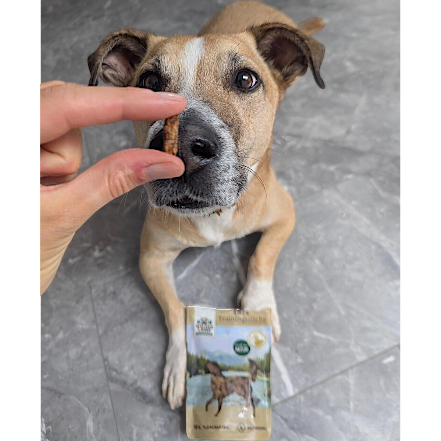 Wildes Land Dog - Trainingssticks Ente