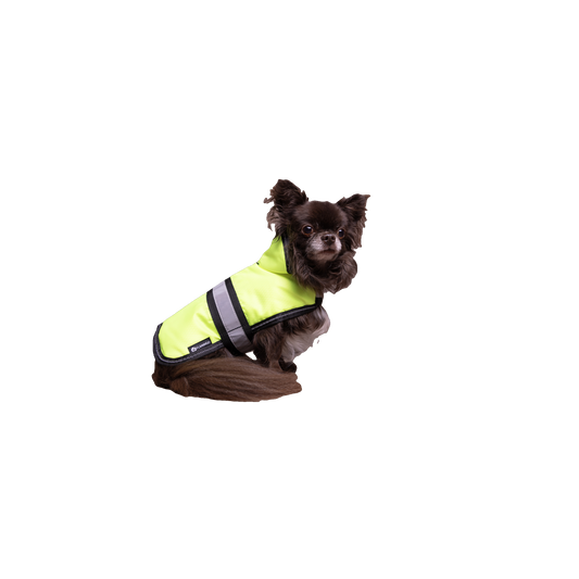 Wintermantel Eisbär - Arctic Edition