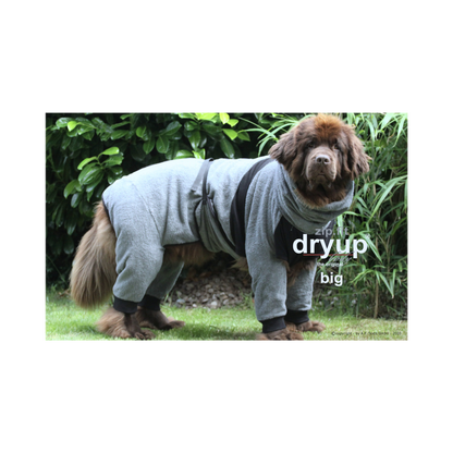 ZIP.FIT DRYUP Body Big – Der Trockenbody mit langen Beinen für große Hunde