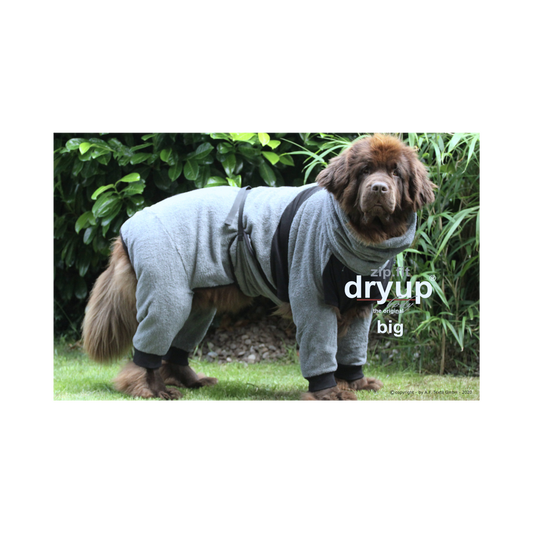 ZIP.FIT DRYUP Body Big – Der Trockenbody mit langen Beinen für große Hunde