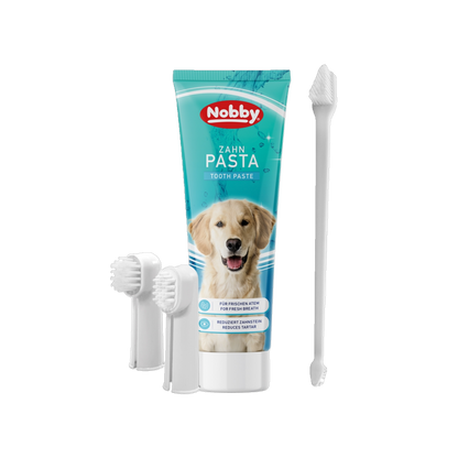 Zahnbürstenset mit Pasta – Für gesunde Zähne & frischen Atem