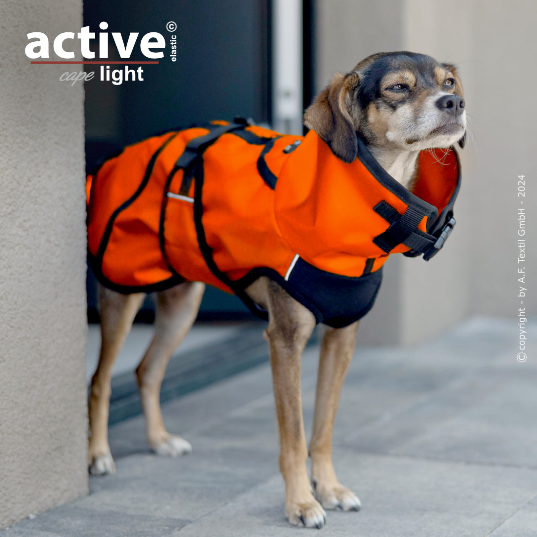 Active Cape WIND & RAIN Light Mini – Stylischer Wetterschutz für aktive Hunde