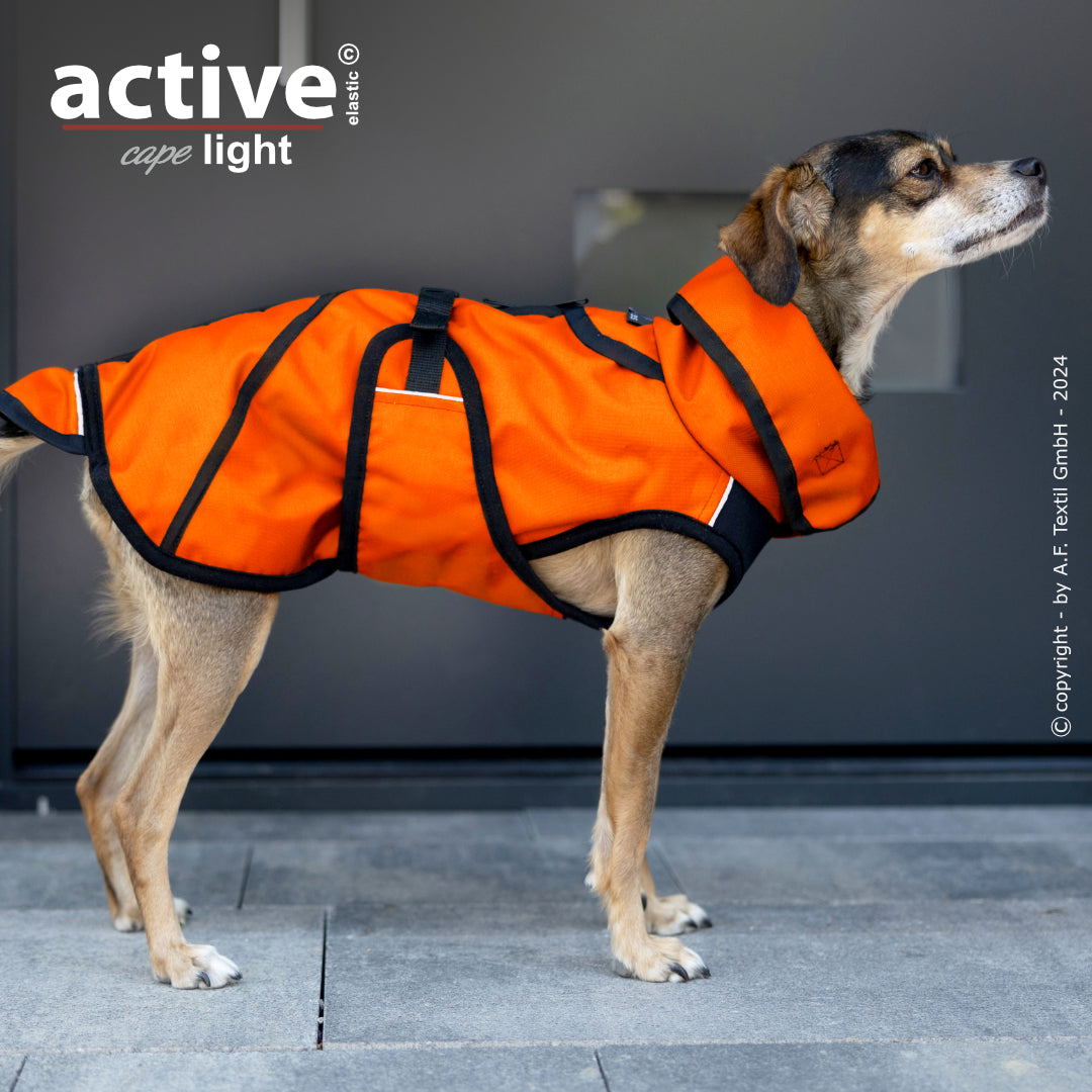 Active Cape WIND & RAIN Light Mini – Stylischer Wetterschutz für aktive Hunde