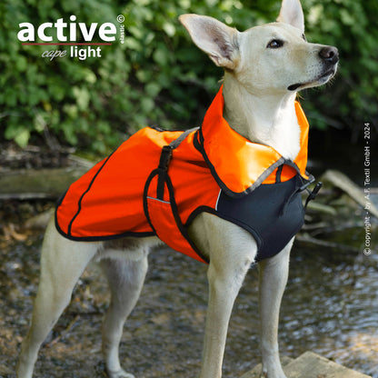 Active Cape WIND & RAIN Light – Stylischer Wetterschutz für aktive Hunde