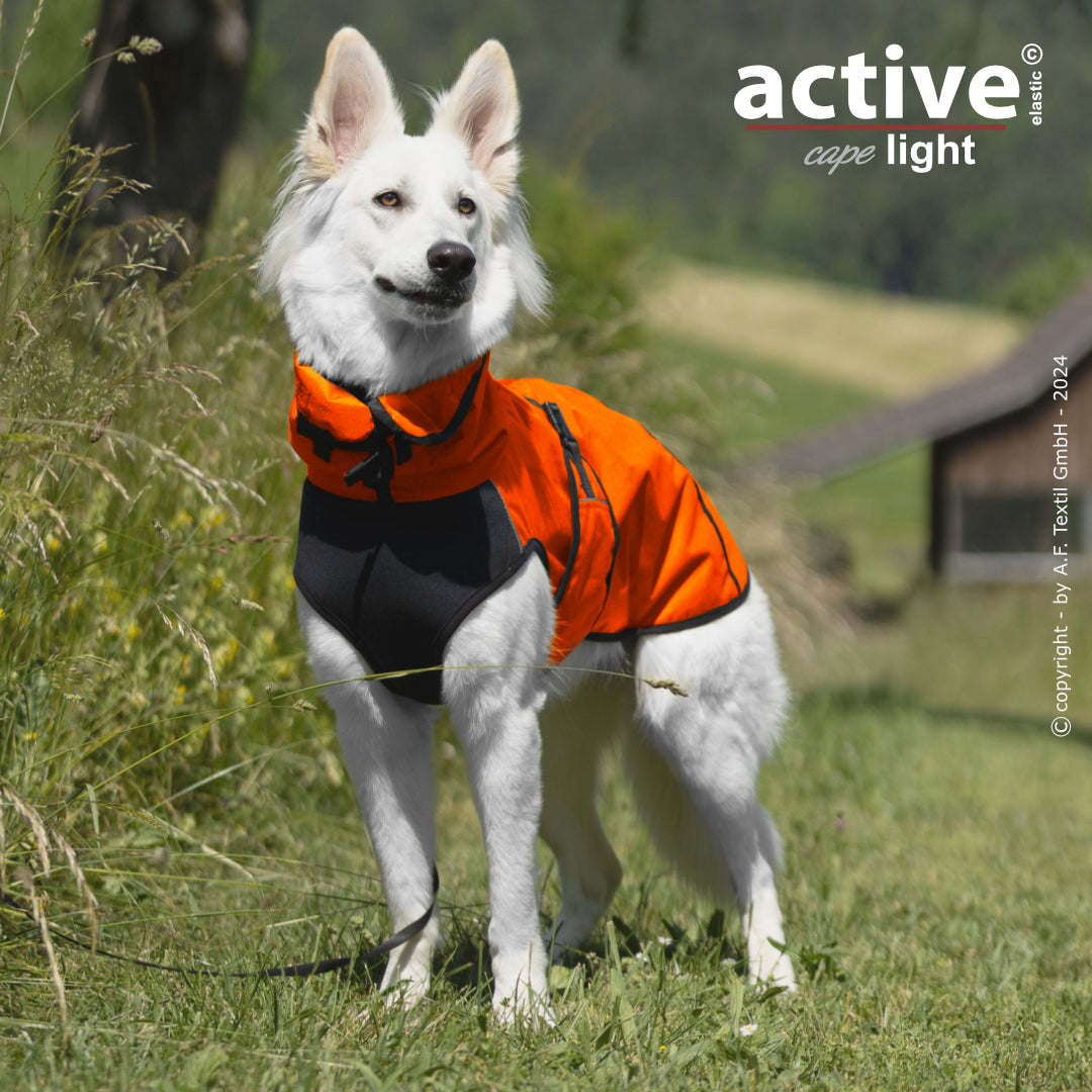 Active Cape WIND & RAIN Light – Stylischer Wetterschutz für aktive Hunde
