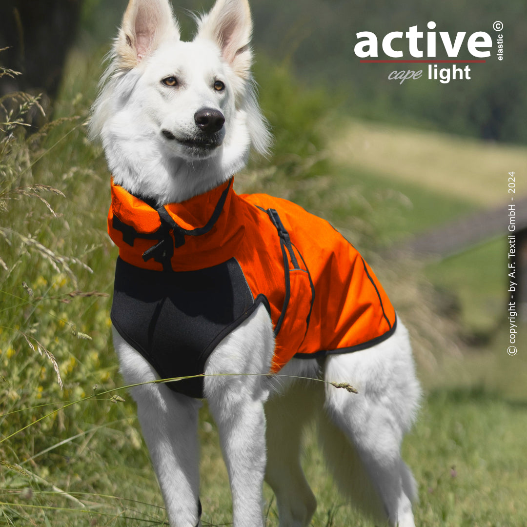Active Cape WIND & RAIN Light – Stylischer Wetterschutz für aktive Hunde