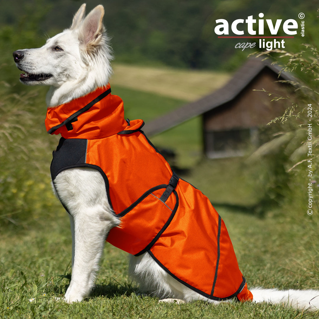 Active Cape WIND & RAIN Light – Stylischer Wetterschutz für aktive Hunde
