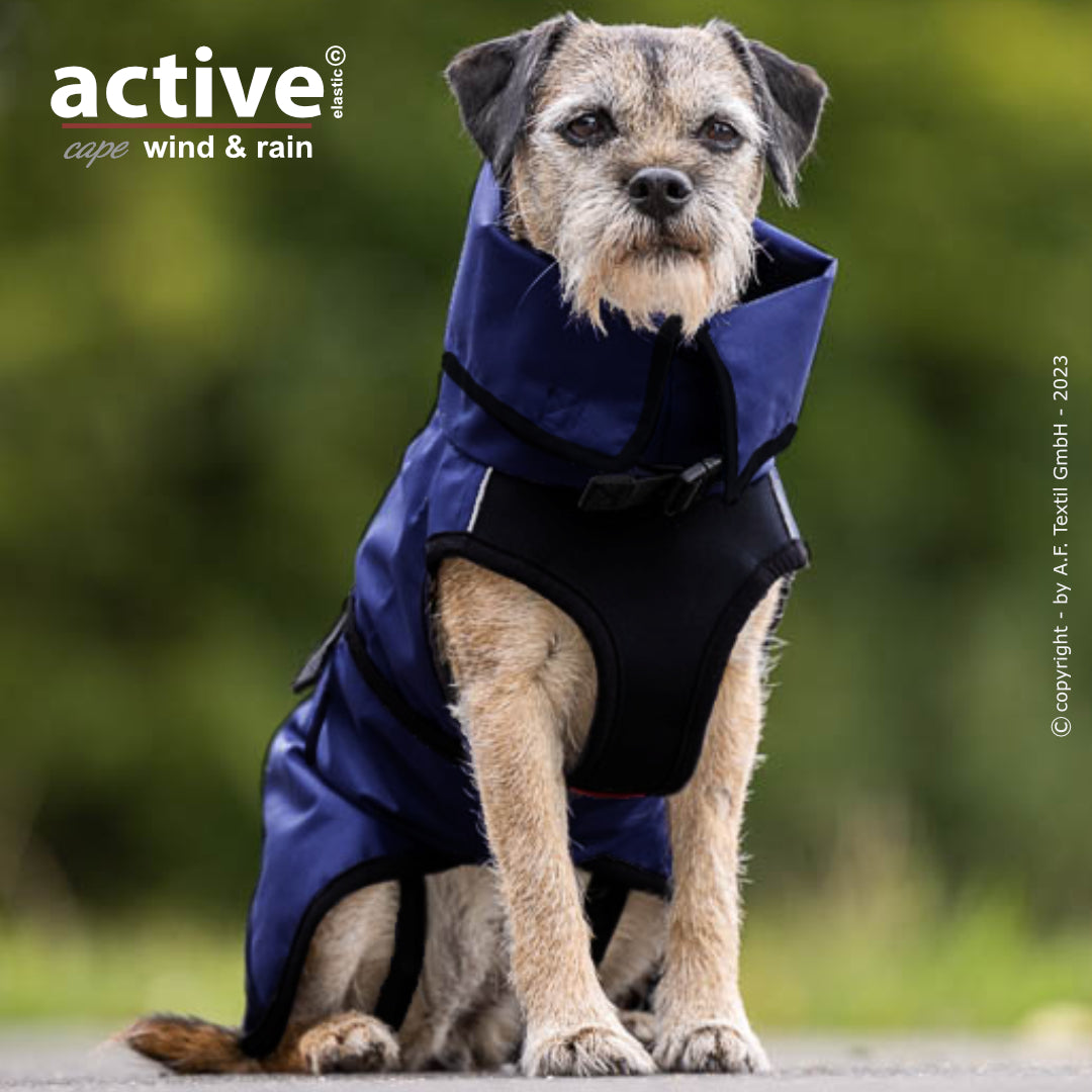 Active Cape WIND & RAIN Mini – Stylischer Wetterschutz für aktive Hunde