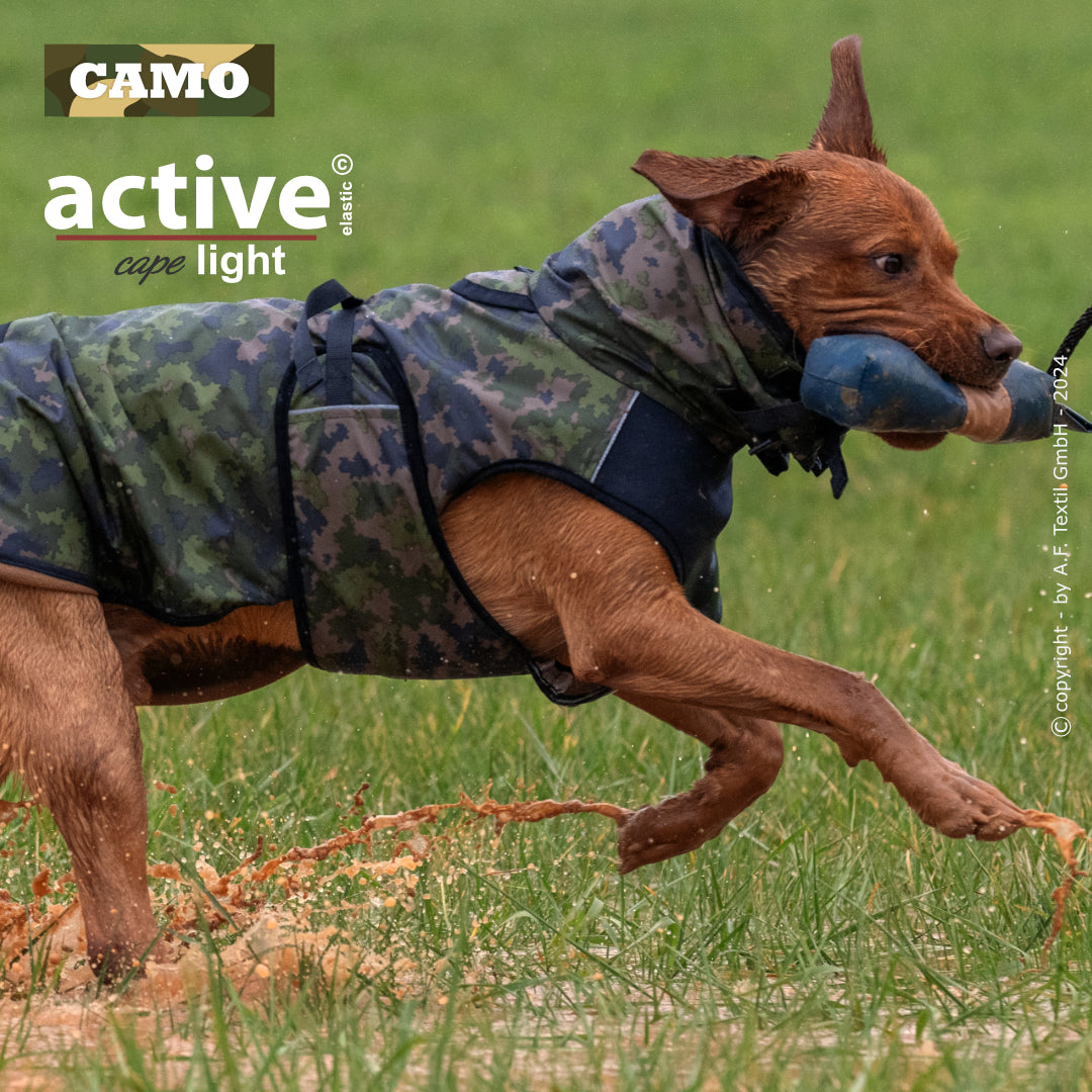 Active Cape WIND & RAIN Light – Stylischer Wetterschutz für aktive Hunde