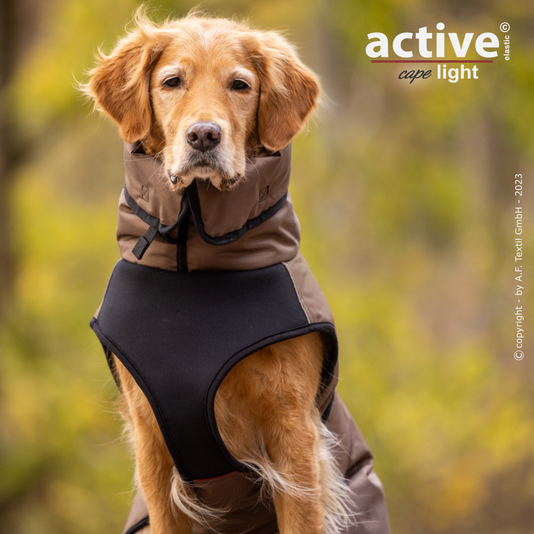 Active Cape WIND & RAIN Plus – Stylischer Wetterschutz für aktive Hunde