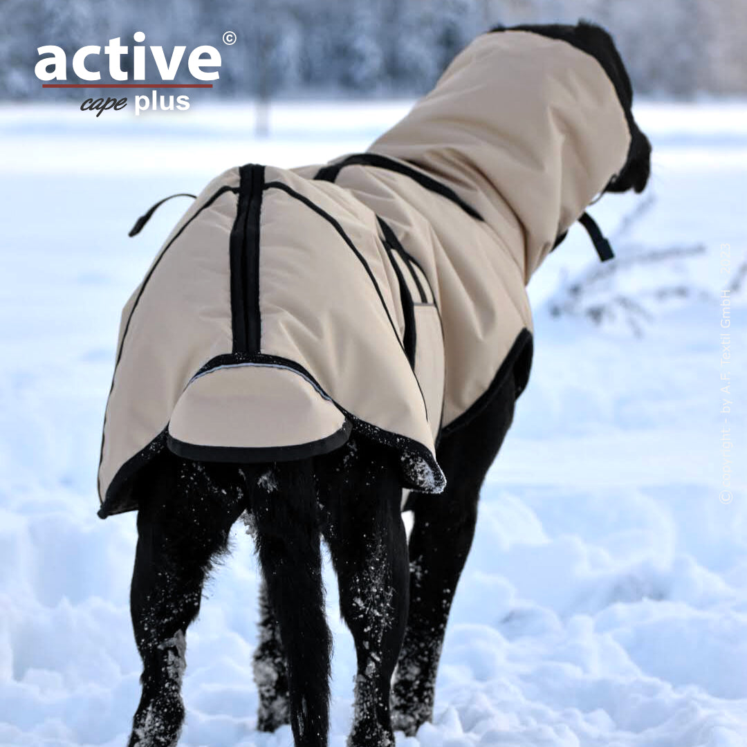 Active Cape WIND & RAIN Plus – Stylischer Wetterschutz für aktive Hunde