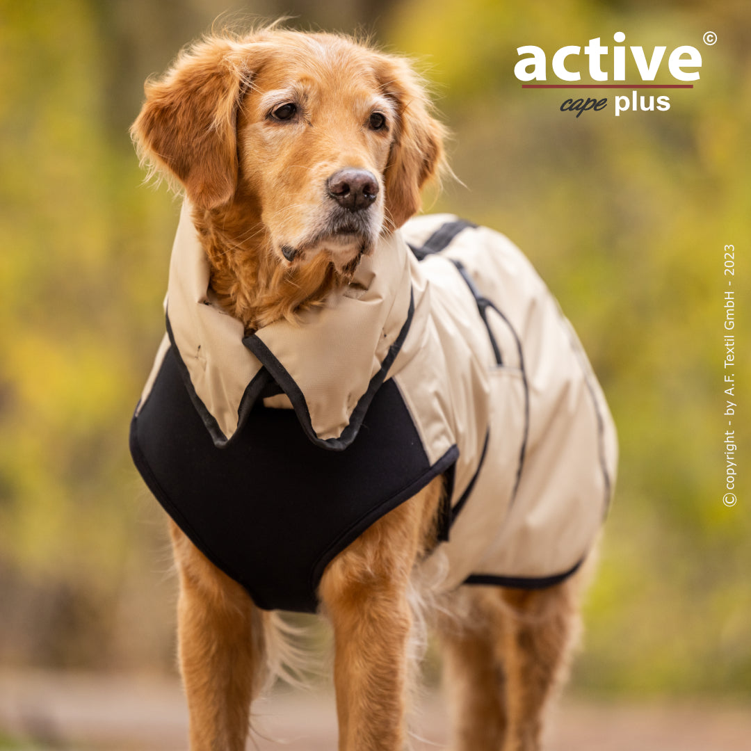 Active Cape WIND & RAIN Plus – Stylischer Wetterschutz für aktive Hunde