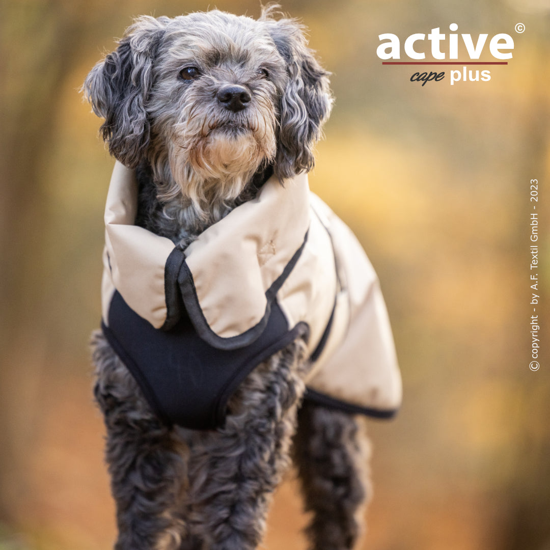 Active Cape WIND & RAIN Plus Mini – Stylischer Wetterschutz für aktive Hunde