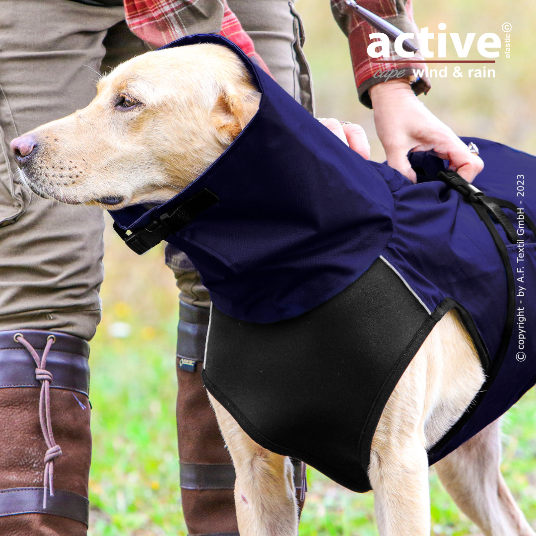 Active Cape WIND & RAIN – Stylischer Wetterschutz für aktive Hunde