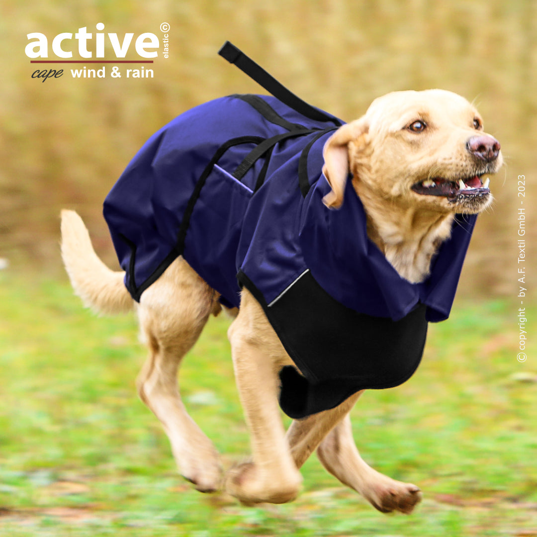 Active Cape WIND & RAIN – Stylischer Wetterschutz für aktive Hunde