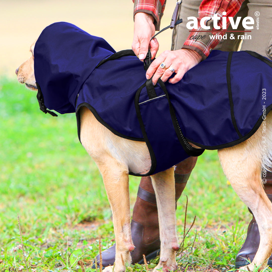 Active Cape WIND & RAIN – Stylischer Wetterschutz für aktive Hunde