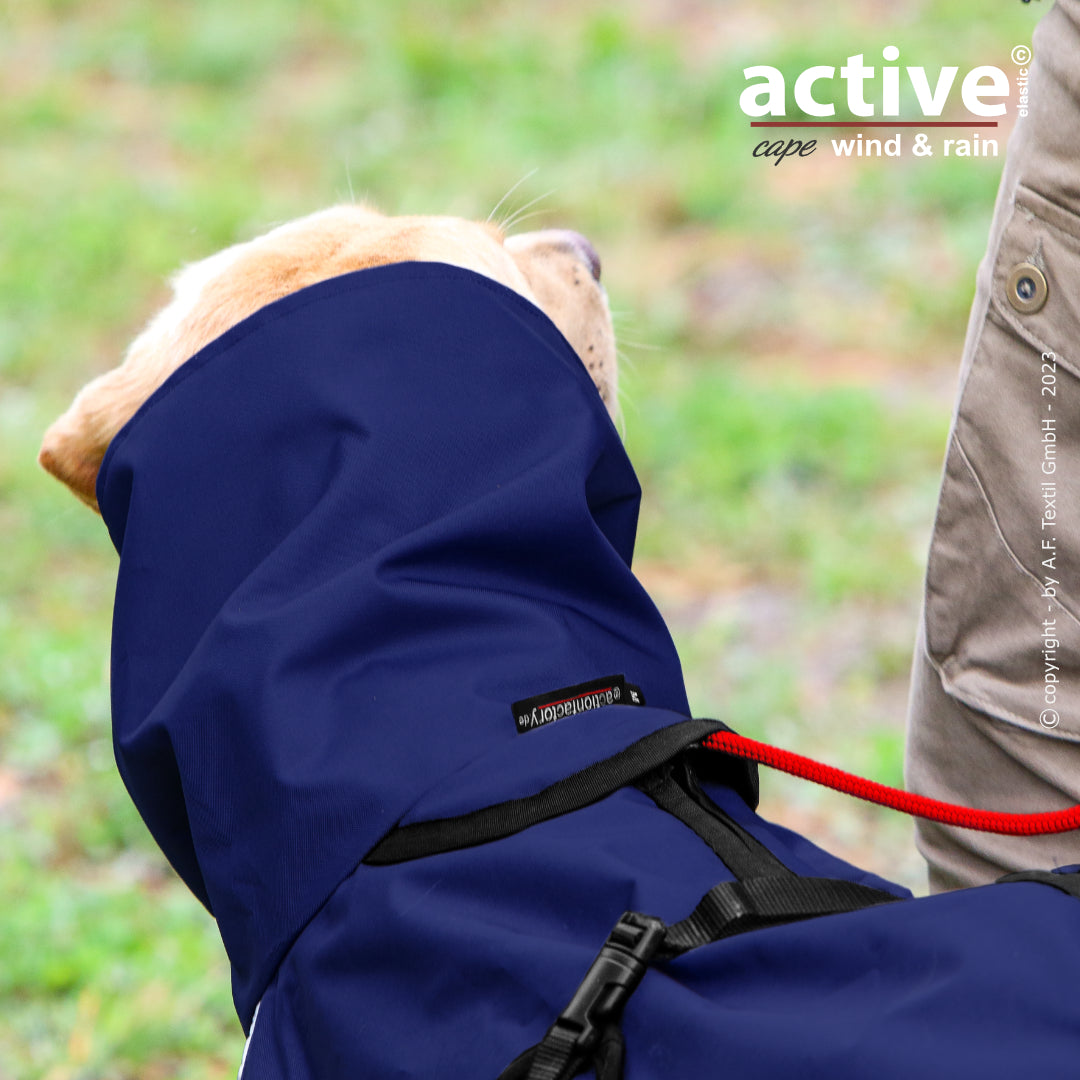 Active Cape WIND & RAIN – Stylischer Wetterschutz für aktive Hunde