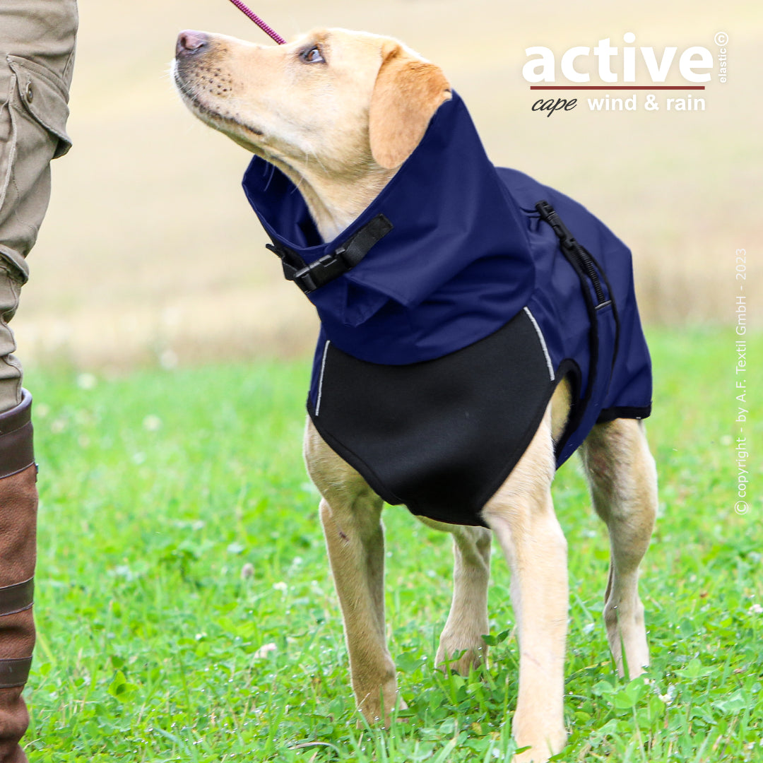 Active Cape WIND & RAIN – Stylischer Wetterschutz für aktive Hunde