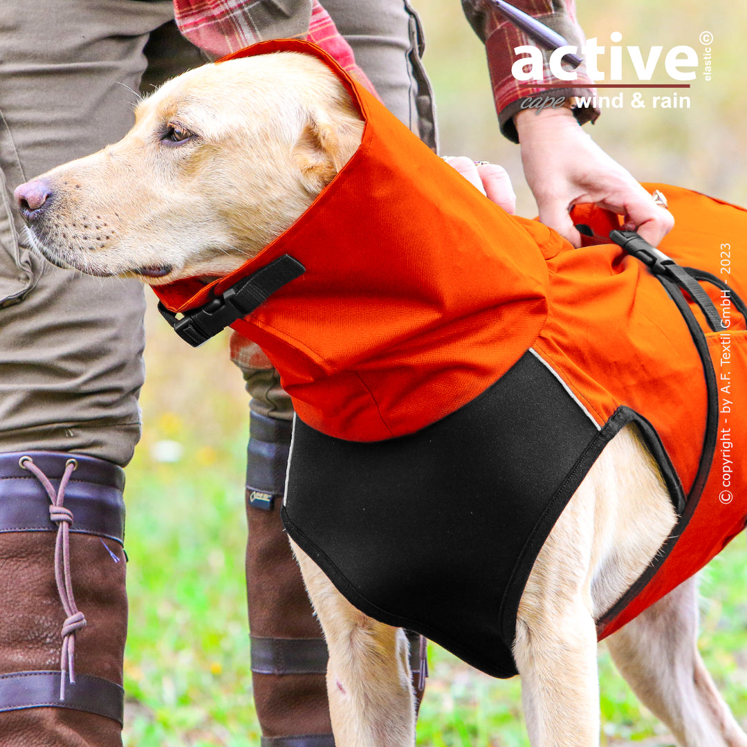 Active Cape WIND & RAIN – Stylischer Wetterschutz für aktive Hunde