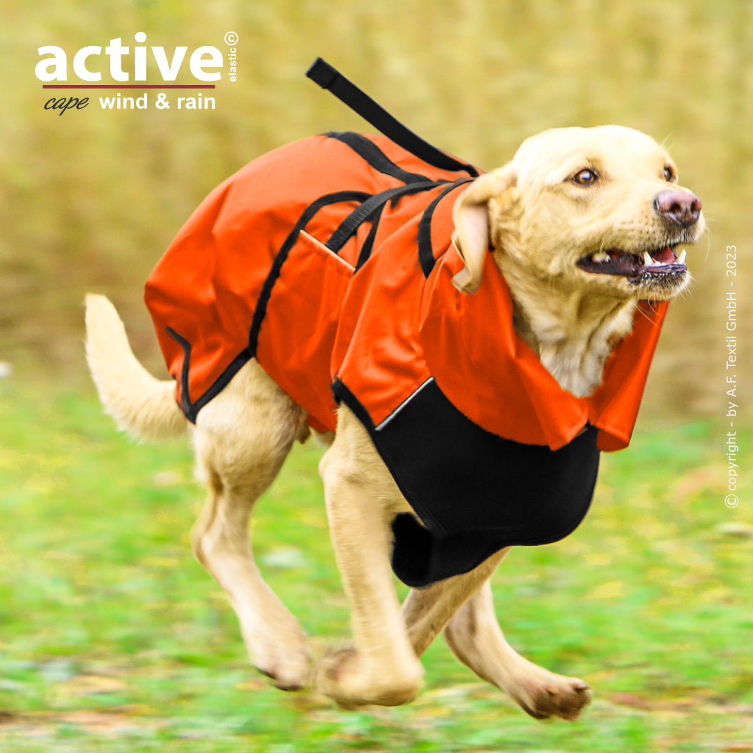 Active Cape WIND & RAIN – Stylischer Wetterschutz für aktive Hunde