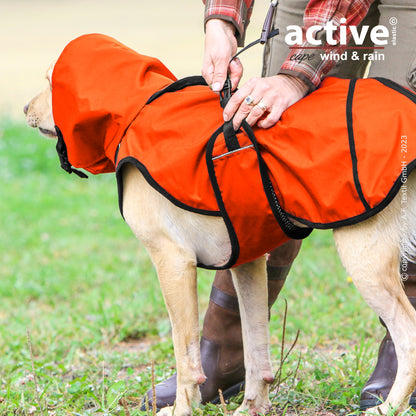 Active Cape WIND & RAIN – Stylischer Wetterschutz für aktive Hunde