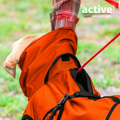Active Cape WIND & RAIN – Stylischer Wetterschutz für aktive Hunde