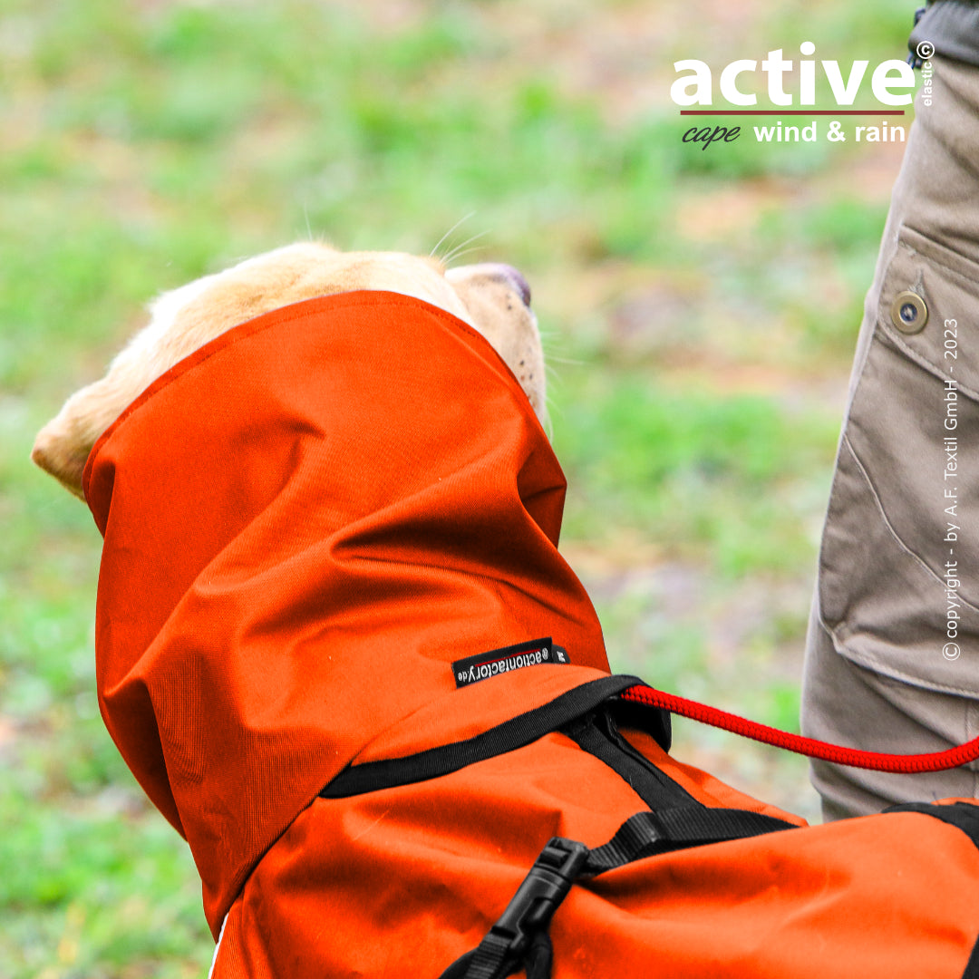 Active Cape WIND & RAIN – Stylischer Wetterschutz für aktive Hunde