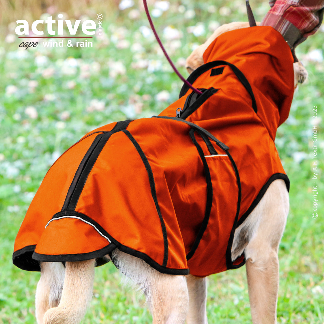 Active Cape WIND & RAIN – Stylischer Wetterschutz für aktive Hunde