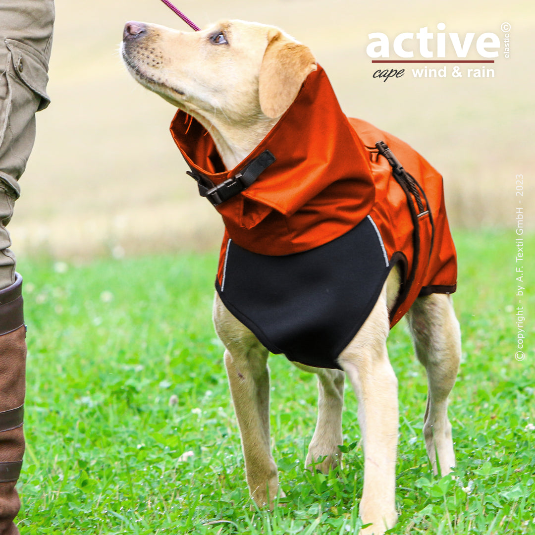 Active Cape WIND & RAIN – Stylischer Wetterschutz für aktive Hunde