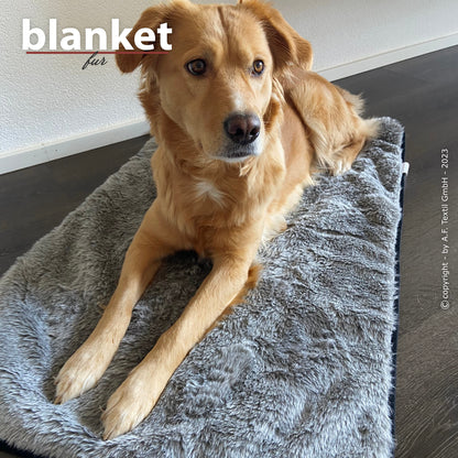 Blanket Fur – die kuschelige Reisedecke für alle Felle