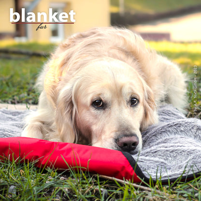 Blanket Fur – die kuschelige Reisedecke für alle Felle