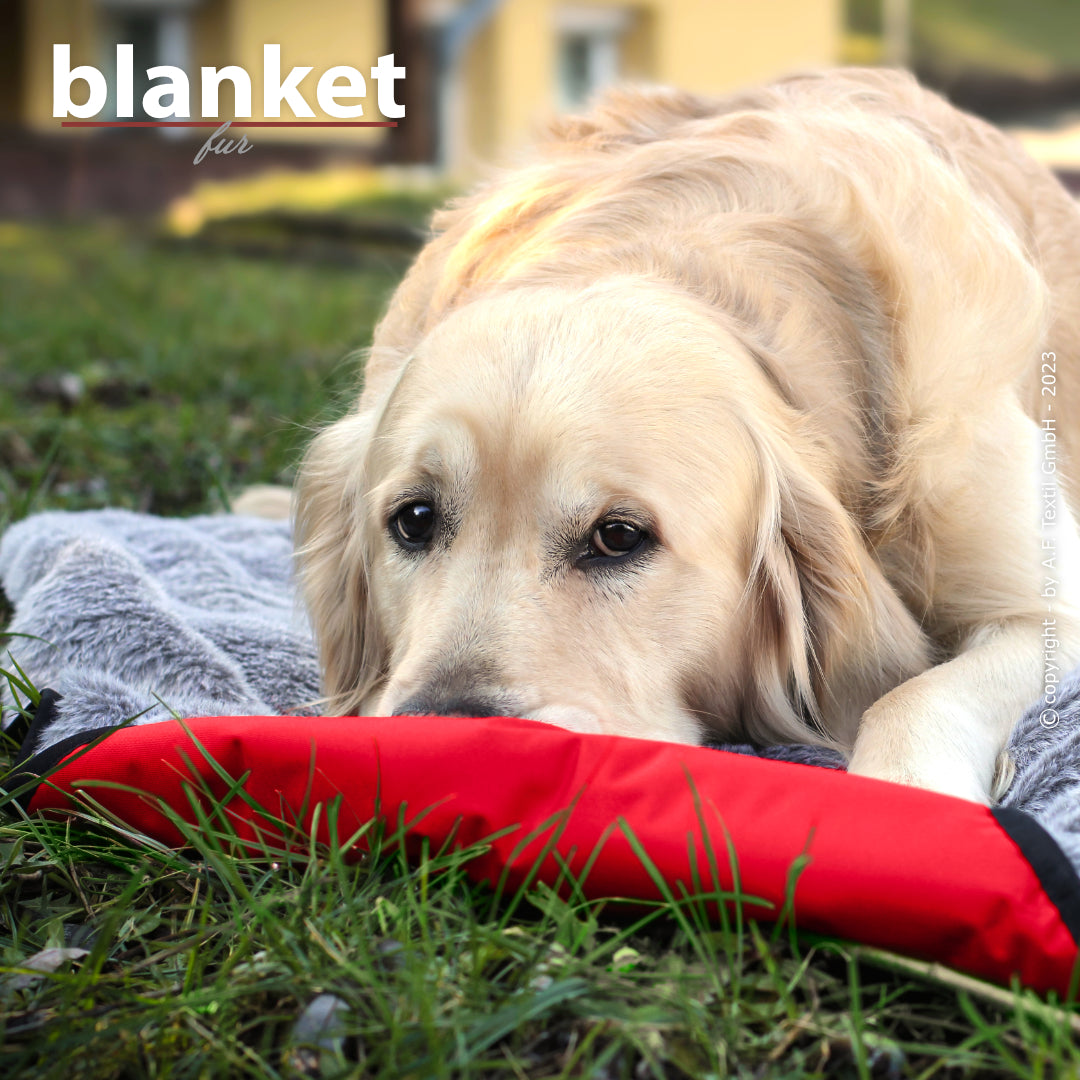 Blanket Fur – die kuschelige Reisedecke für alle Felle