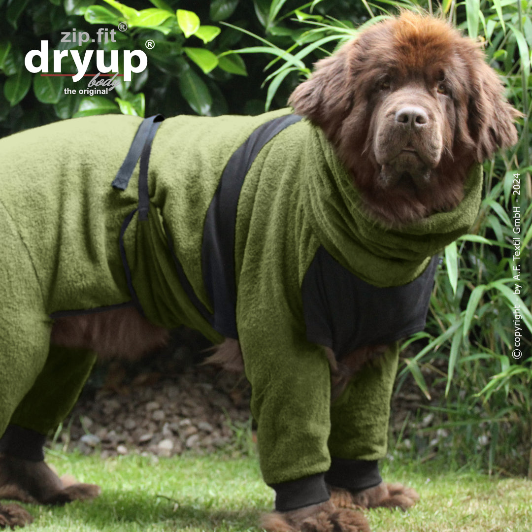 ZIP.FIT DRYUP Body Big – Der Trockenbody mit langen Beinen für große Hunde