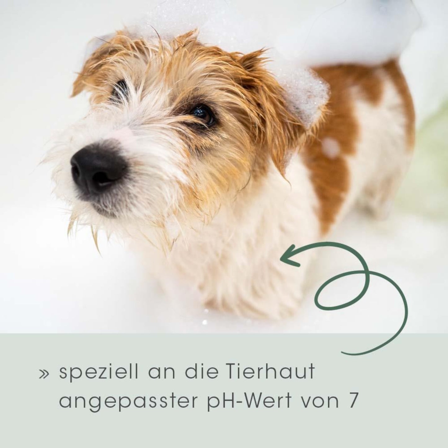 cdVet - VeaVet Pflegeshampoo