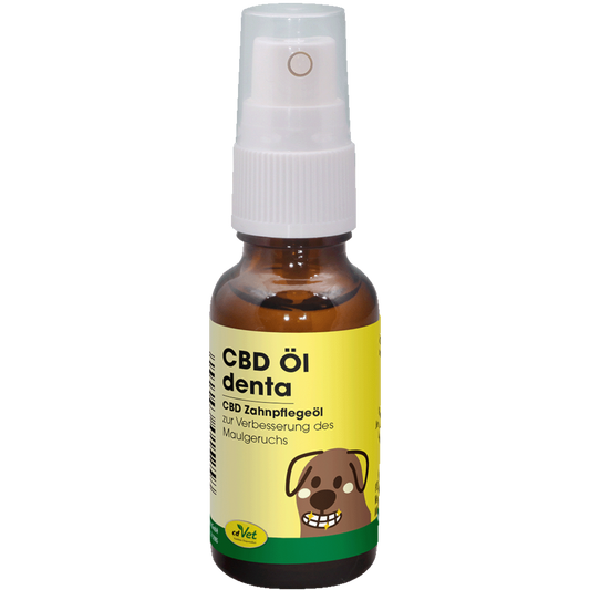 cdVet Dog – CBD Öl denta