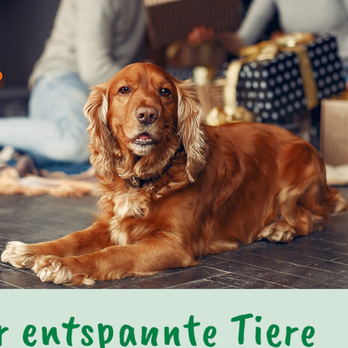 cdVet Dog & Cat – Calma