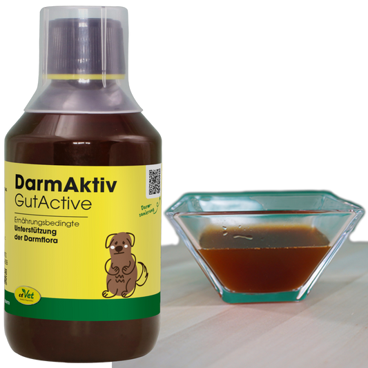 cdVet Dog & Cat – DarmAktiv
