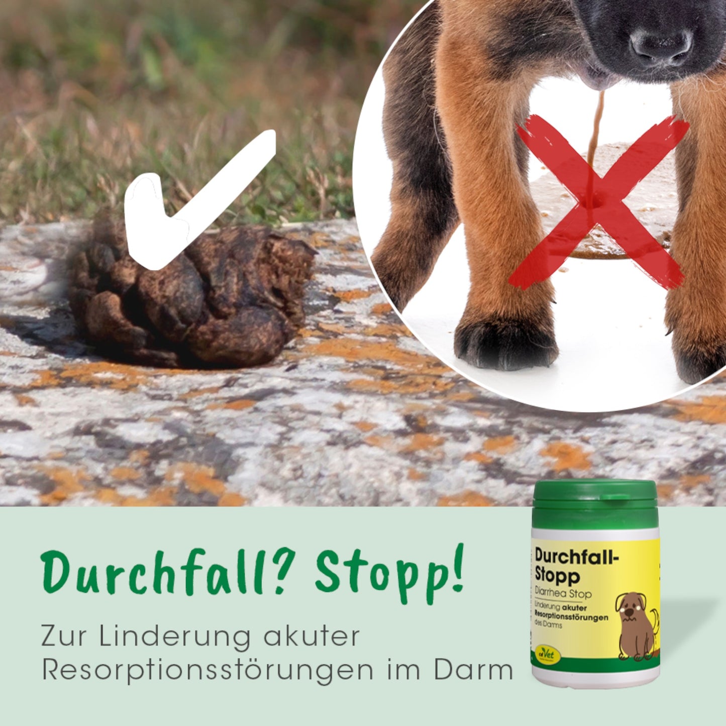 cdVet Dog & Cat – DurchfallStopp