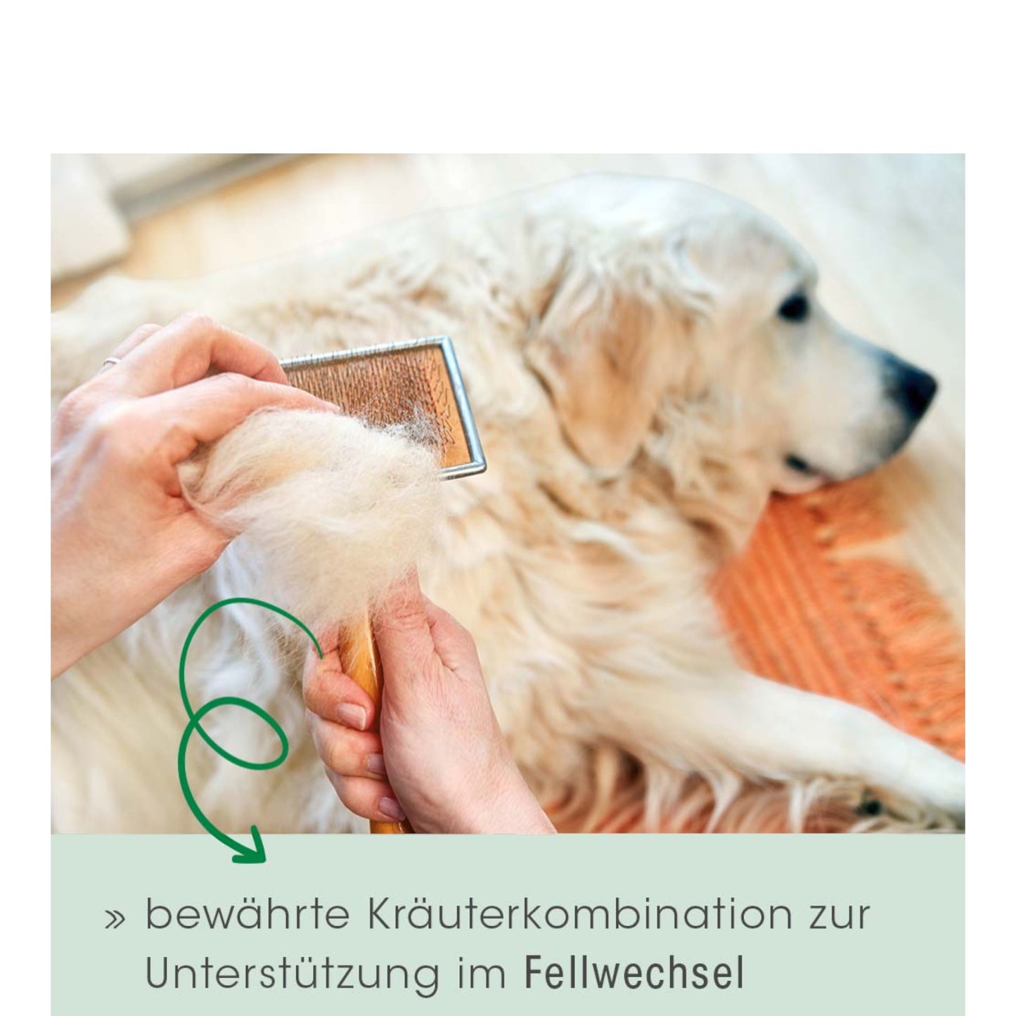 cdVet Dog & Cat – Fell & Haut Vital