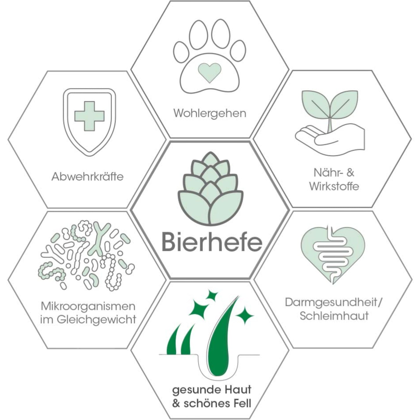cdVet Dog & Cat – Fell & Haut Vital