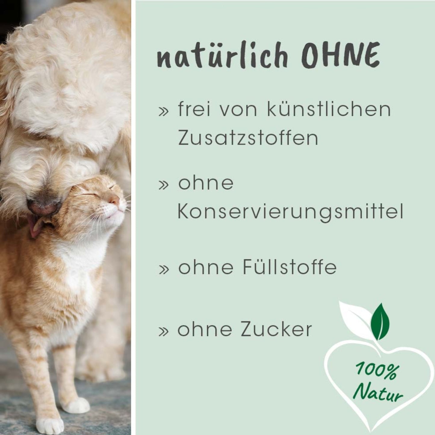 cdVet Dog & Cat – Fell & Haut Vital