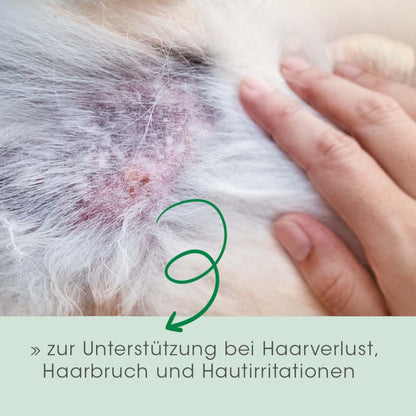 cdVet Dog & Cat – Fell & Haut Vital
