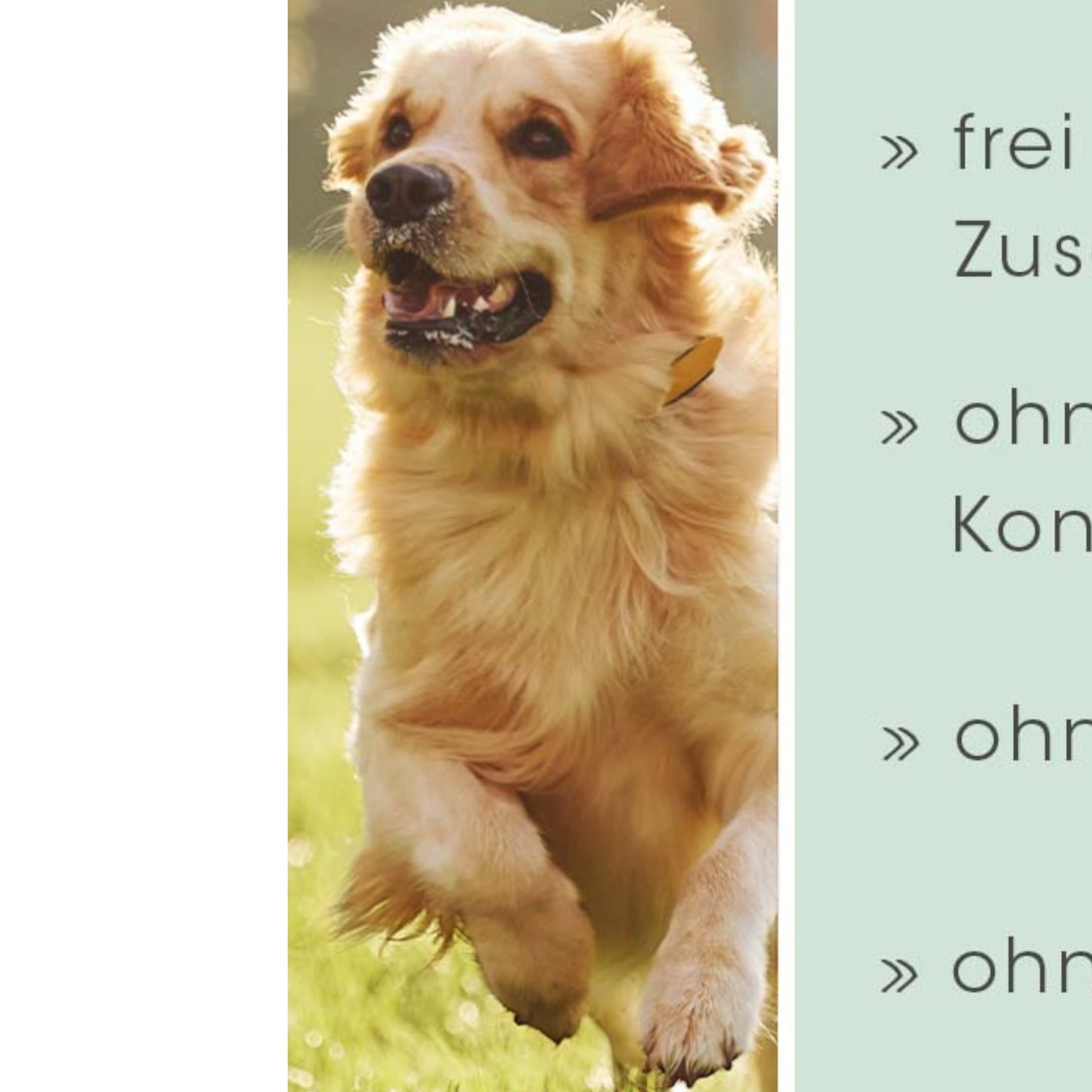 cdVet Dog & Cat – Magenschutz